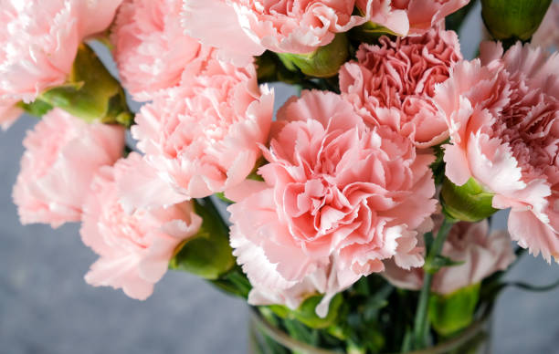 carnation bouquet